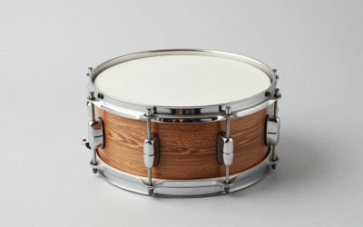 Best Snare Drums for Studio and Stage
