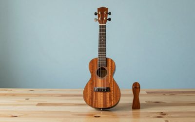 Best Ukuleles by Size and Budget for 2026